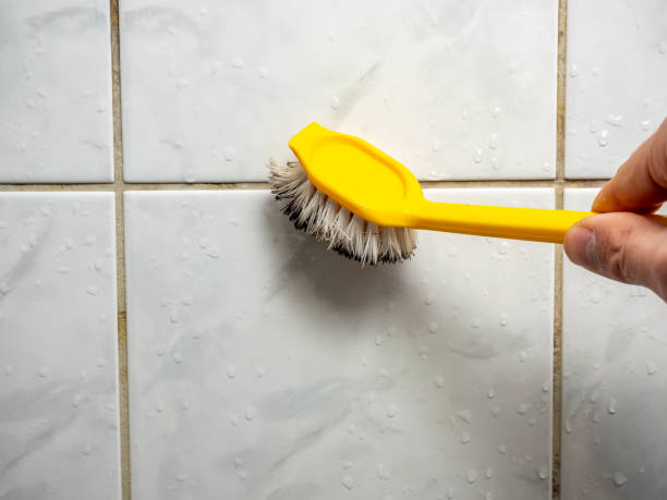 Best Local Mold Removal Service  in Parma, OH