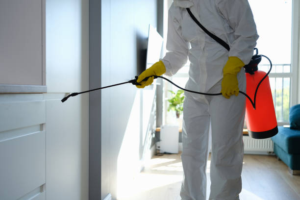 Best Mold Removal Process  in Parma, OH
