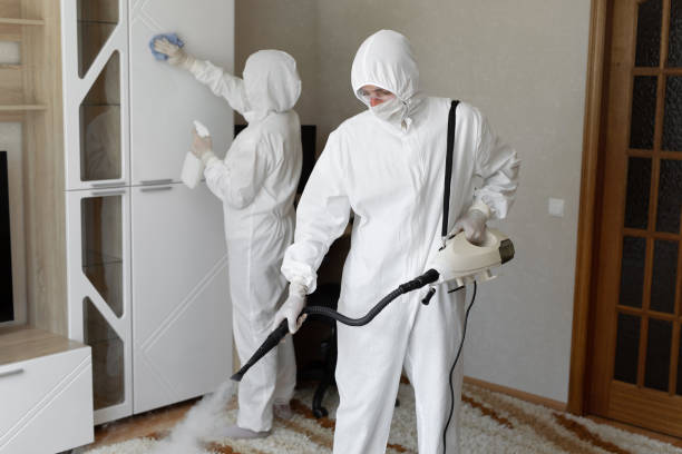 Attic Mold Removal in Parma, OH