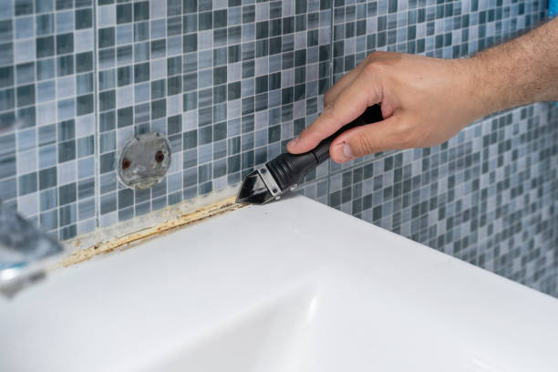 Best Certified Mold Removal  in Parma, OH