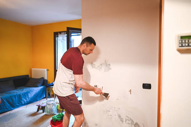 Best Home Mold Removal  in Parma, OH